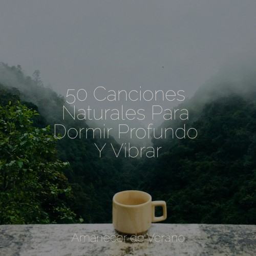 50 Canciones Naturales Para Dormir Profundo Y Vibrar