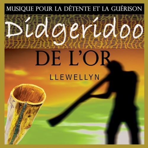 Didgeridoo de l'or: musique pour la détente et la guérison
