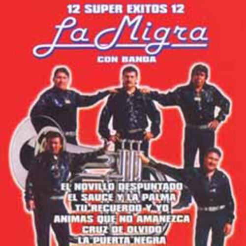 12 Super Exitos Con Banda