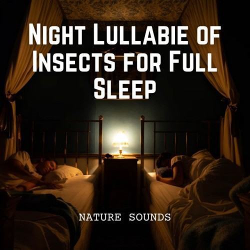 Nature Sounds: Night Lullabies of Insects for Full Sleep