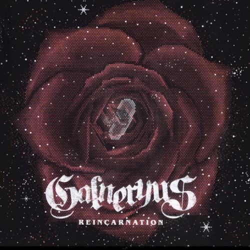 REINCARNATION