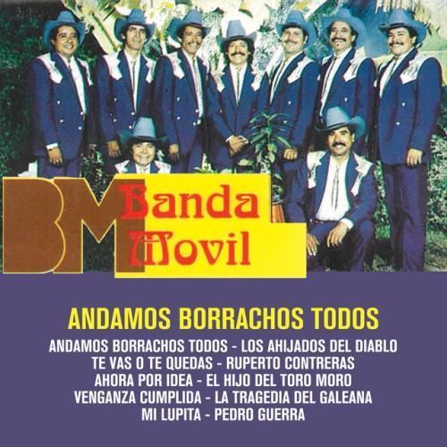 Andamos Borrachos Todos