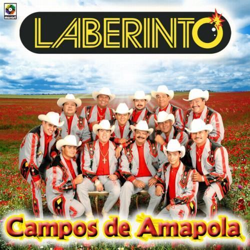 Campos De Amapola