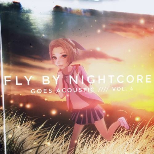 Goes Acoustic, Vol. 4