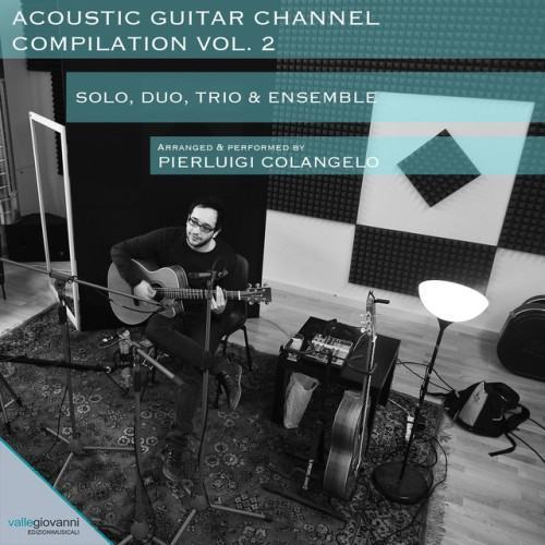Acoustic Guitar Channel Compilation, Vol..2 (Solo, Duo, Trio & Ensemble)