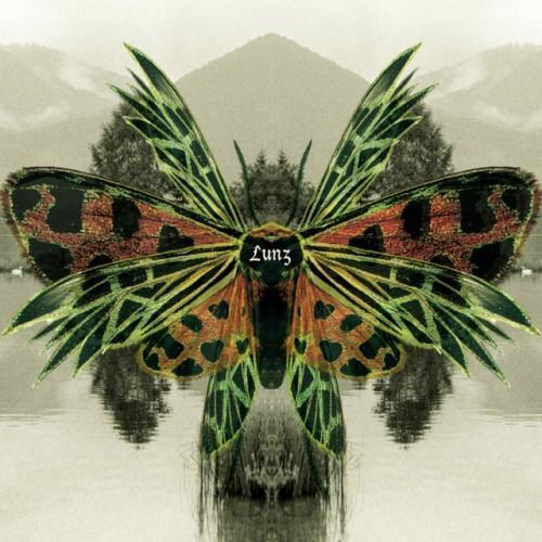 Lunz Reinterpretations