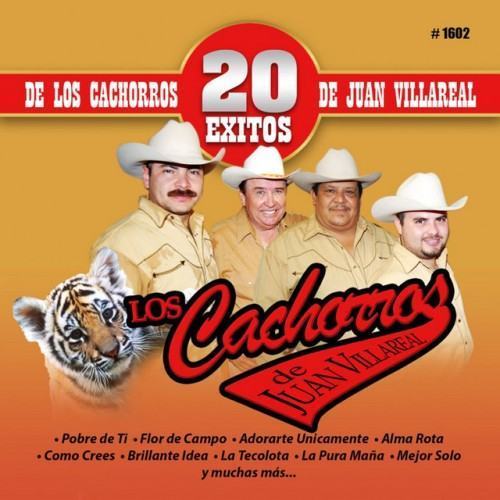 20 Exitos De Los Cachorros De Juan Villarreal