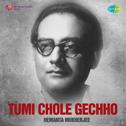 Tumi Chole Gechho