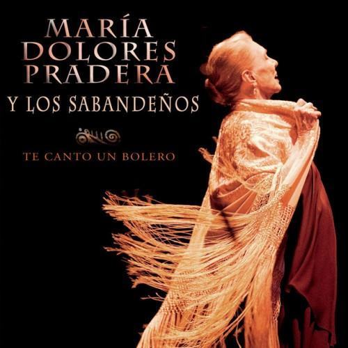 Te Canto Un Bolero