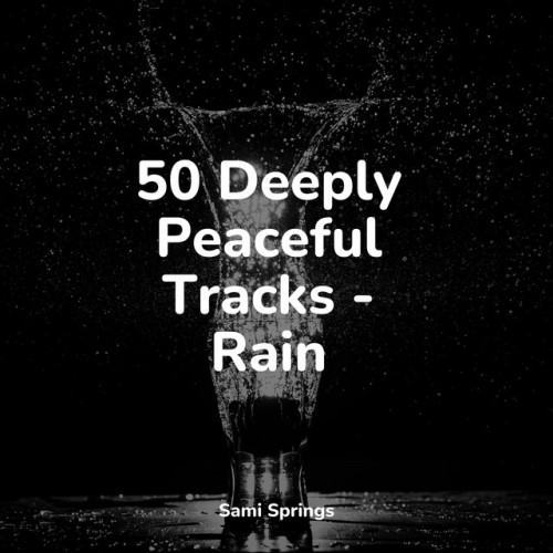 50 Relaxing Rain Sounds for Meditation and Sleep
