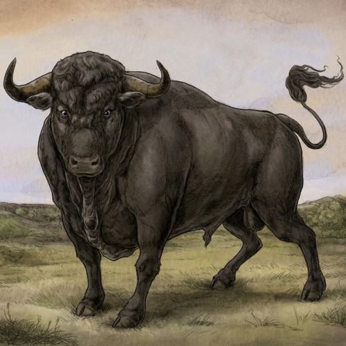 San Fermin (Commentary)