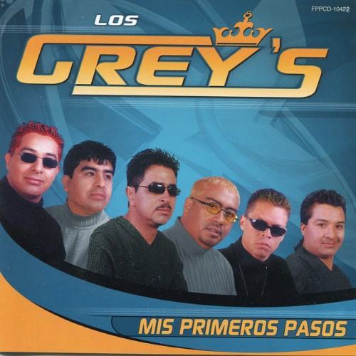 Mis Primeros Pasos