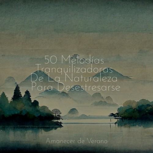 50 Melodías Tranquilizadoras De La Naturaleza Para Desestresarse