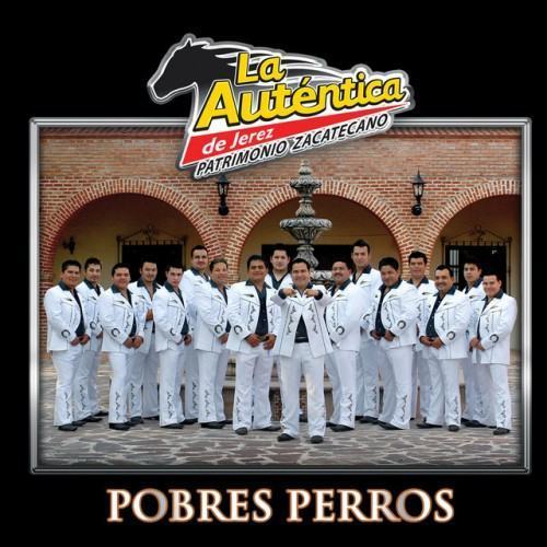 Pobres Perros