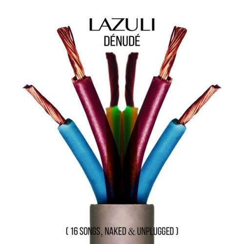 Dénudé (16 songs, naked and unplugged)