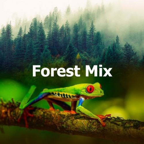 Forest Mix