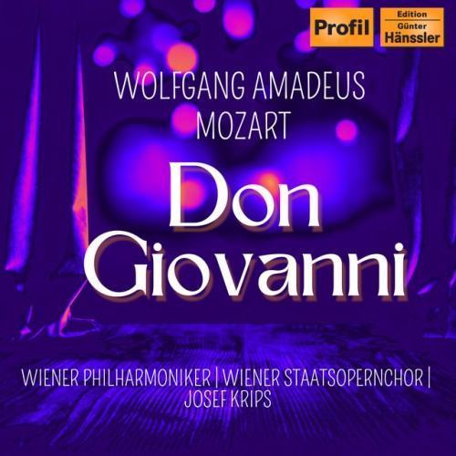 Il dissoluto punito ossia Il Don Giovanni