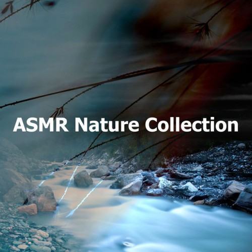 ASMR Nature Collection