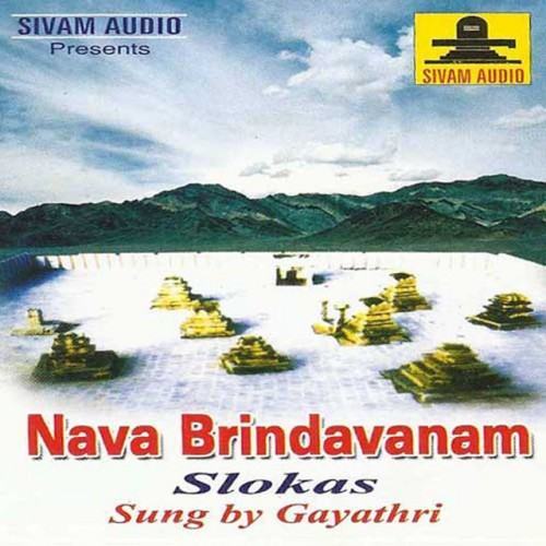 Navabridavanam Slokas