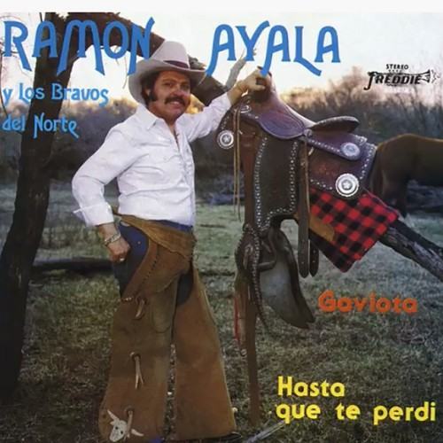 Gaviota / Hasta Que Te Perdí (Remasterizado)