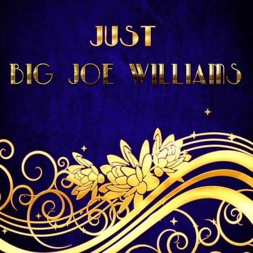 Just Big Joe Williams