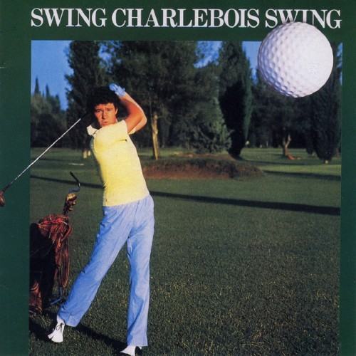Swing