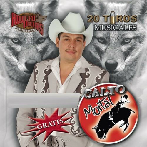 20 Tiros Musicales