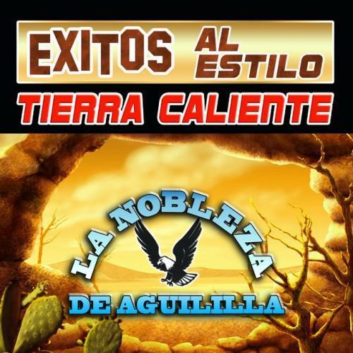 Exitos Al Estilo Tierra Cliente