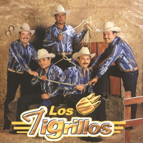 Los Tigrillos