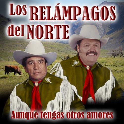 Aunque Tengas Otros Amores