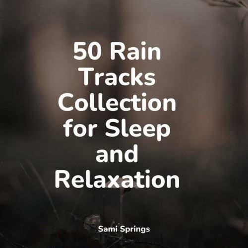 50 Rain Tracks Collection for Sleep and Relaxation