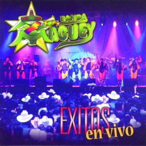 Exitos En Vivo