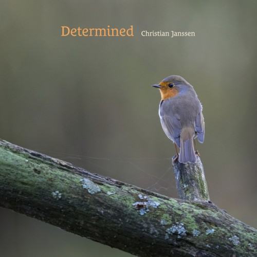 Determined