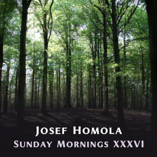 Sunday Mornings XXXVI