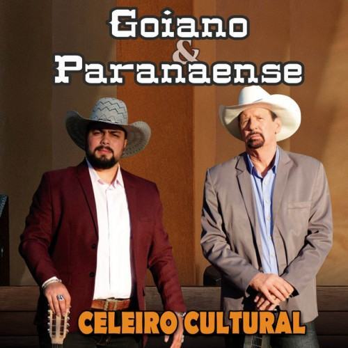 No Ponteio da Viola