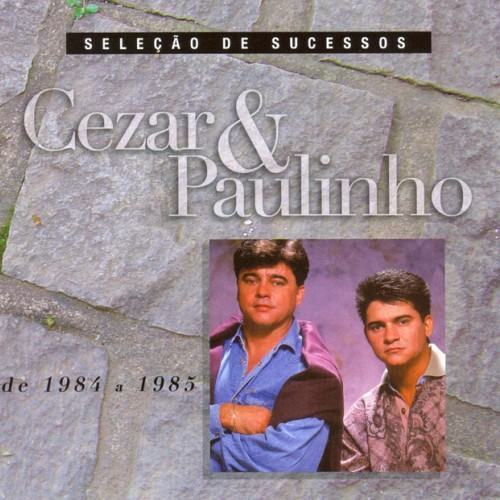 Seleção de Sucessos - 1984 / 1985