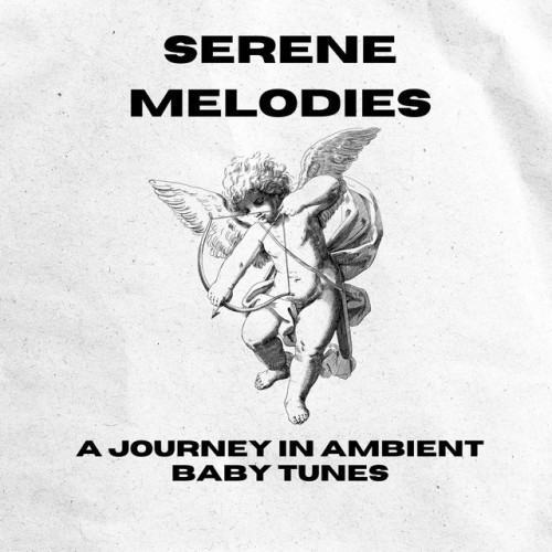 Serene Melodies: A Journey in Ambient Baby Tunes