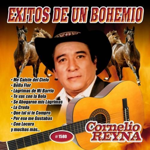 Exitos de un Bohemio