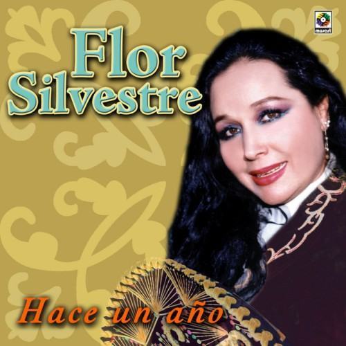 Hace Un Año