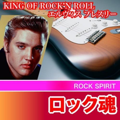 KING OF ROCK'N ROLL エルヴィスプレスリー ロックの魂