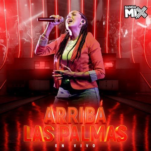 Arriba las Palmas (En Vivo)