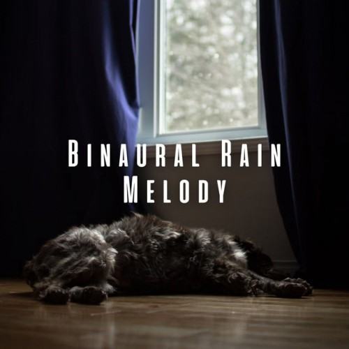 Binaural Rain Melody: Theta Waves for Peaceful Dogs