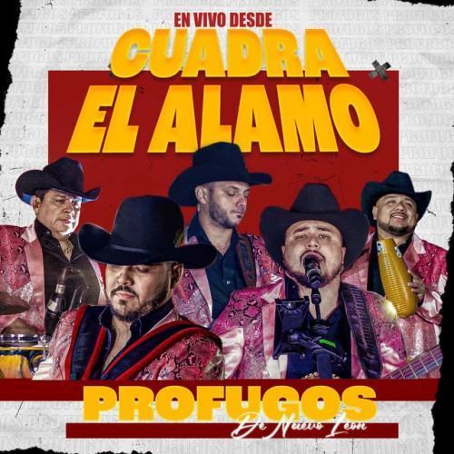 En Vivo Desde Cuadra El Alamo