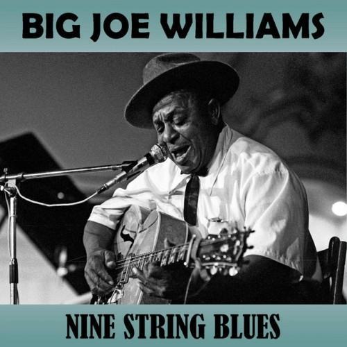 Nine String Blues