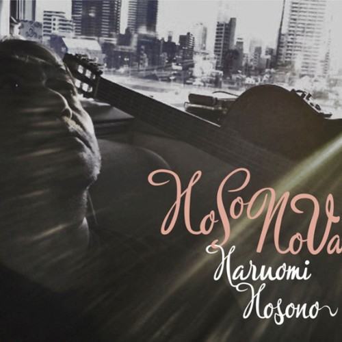 HoSoNoVa