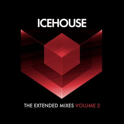 The Extended Mixes Vol. 2