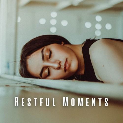 Restful Moments: Calming Chill Music for Sleep