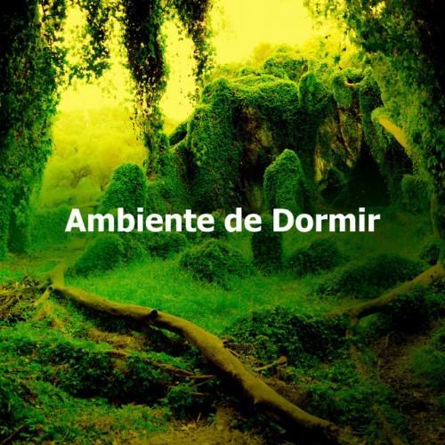 Ambiente de Dormir