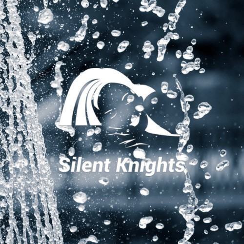 Shhhh Rain for Sleep