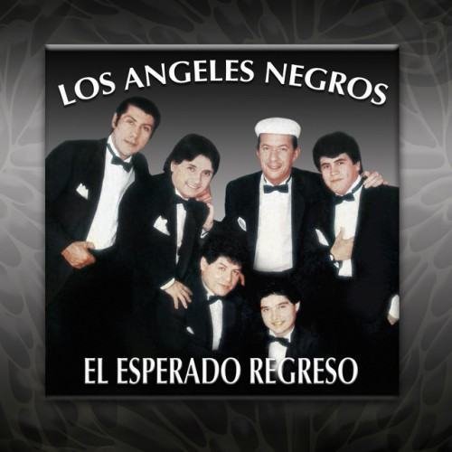 El Esperado Regreso
